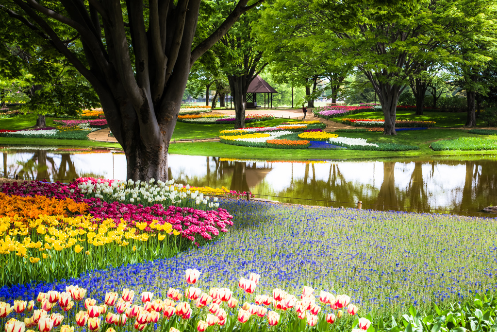 昭和の花園