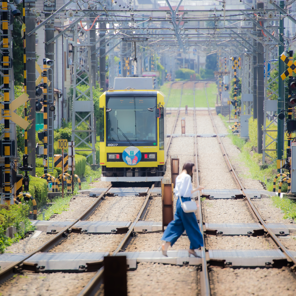 夏色電車　