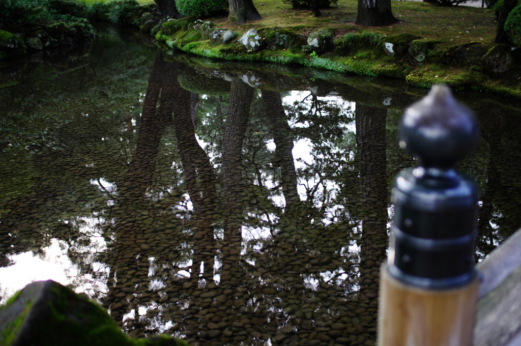 兼六園　川底の石に木の幹