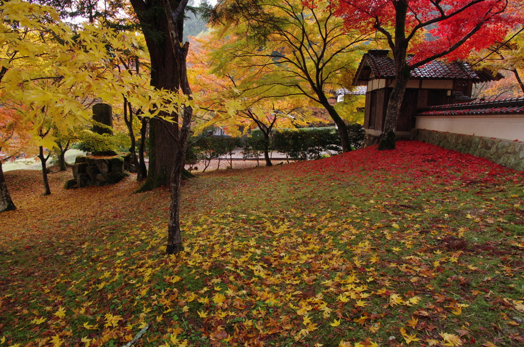 丹波円通寺2