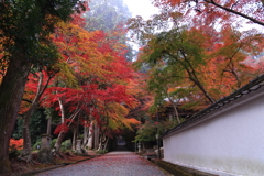 古寺の紅葉