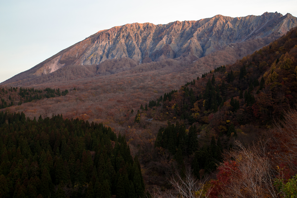大山朝景