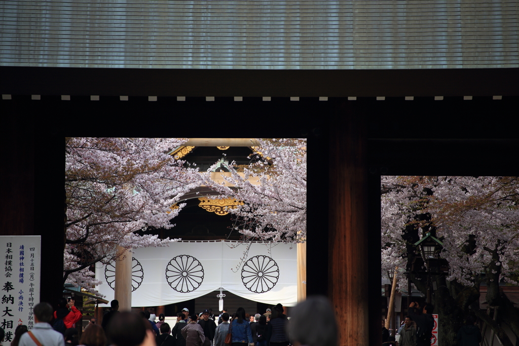 2019桜　東京