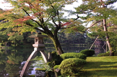 兼六園　徽軫灯籠と紅葉1