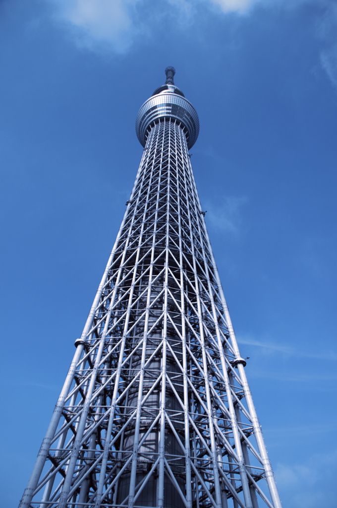 一本立ち
