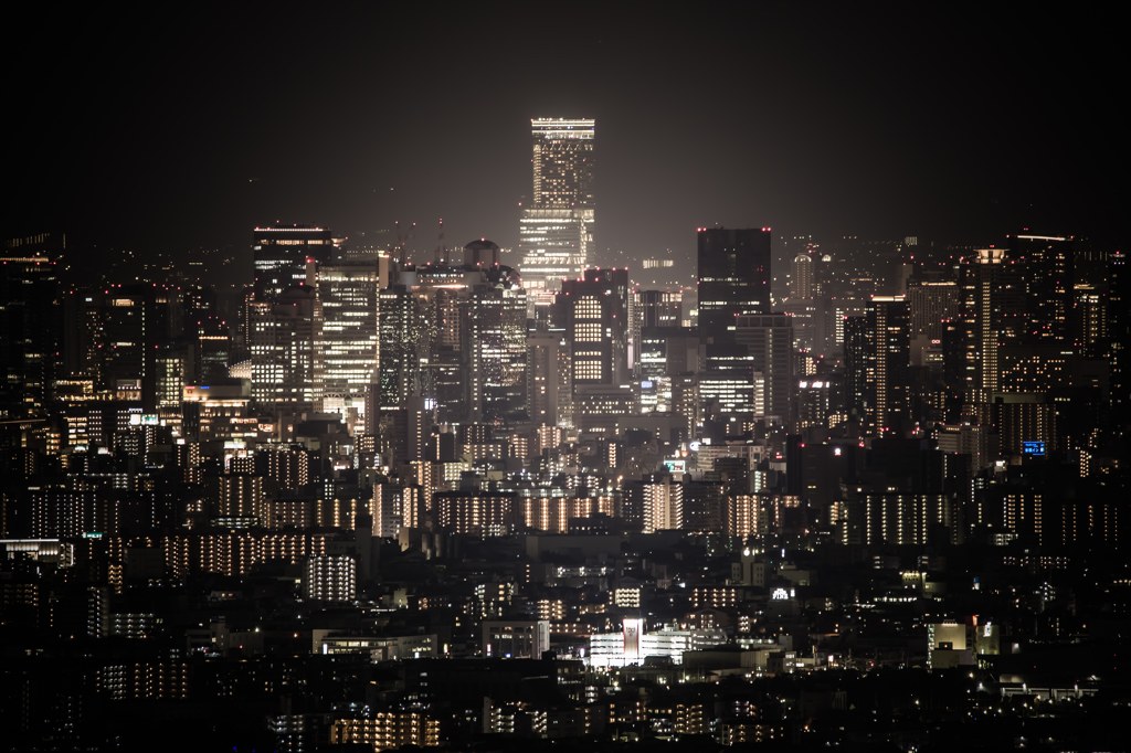 夜の女王