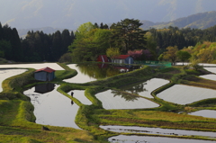 田園