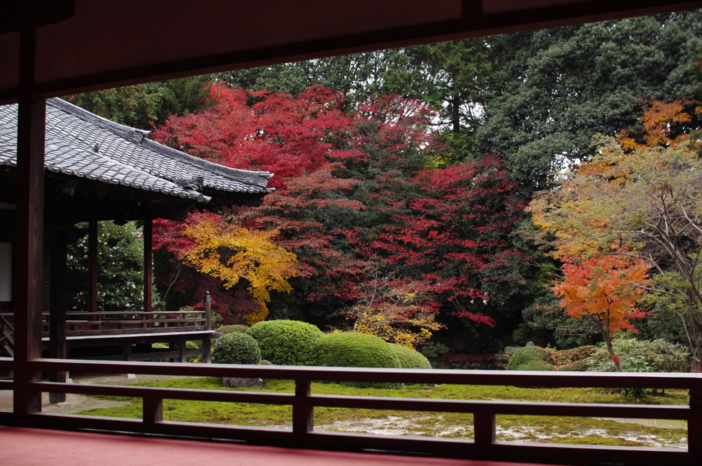 隋心院　