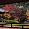 隋心院　