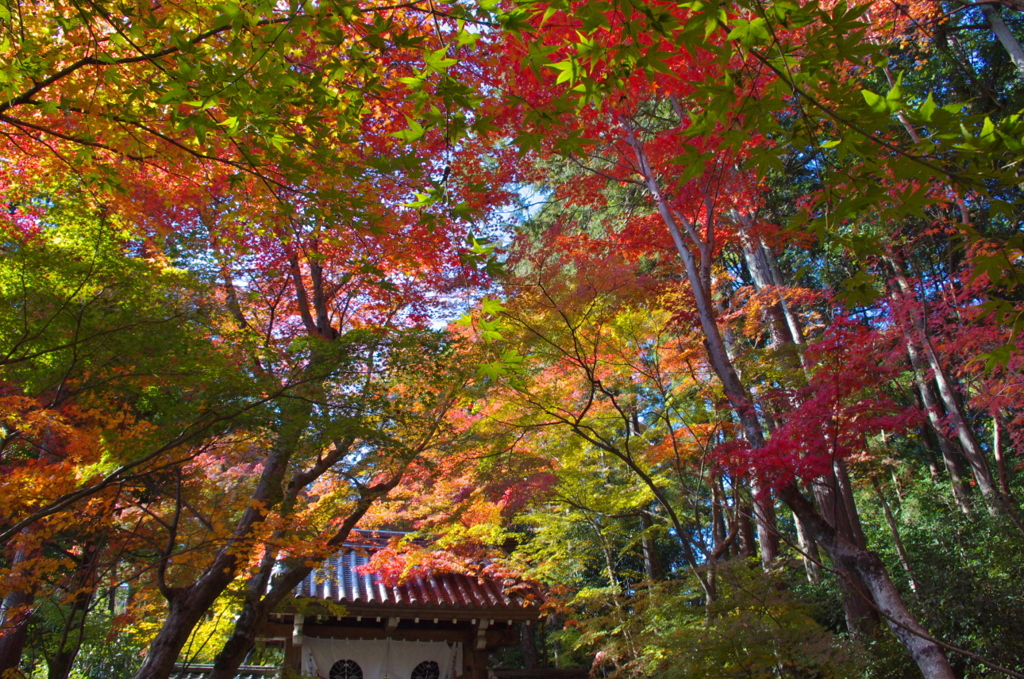 長岡京光明寺