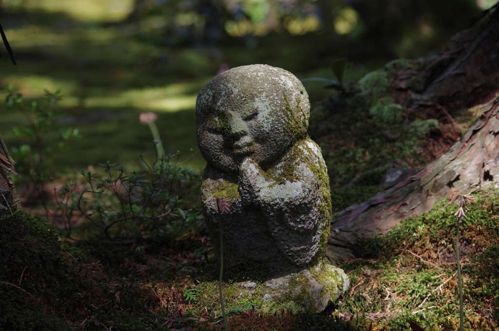 わらべのねがひ