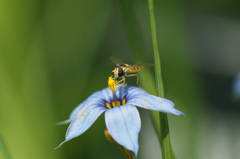 s2012 06 14_2326 ﾋﾗﾀｱﾌﾞ E-M5