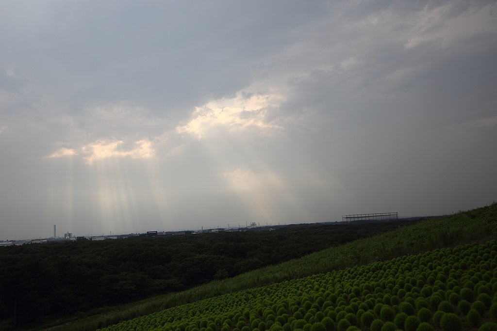 降り注ぐ陽