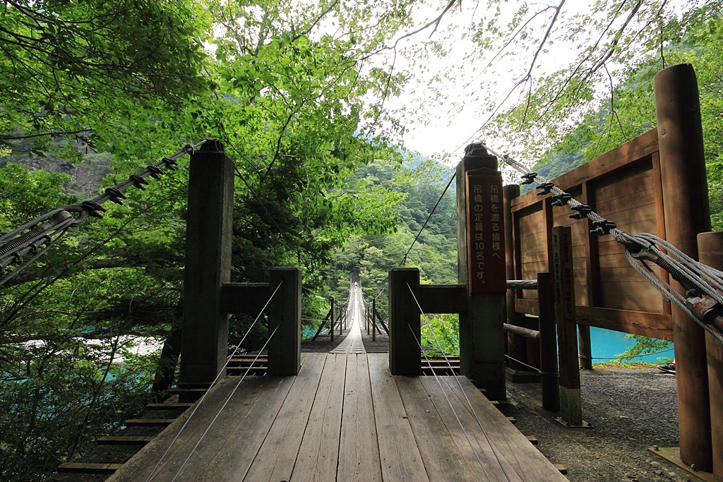 夢の吊り橋
