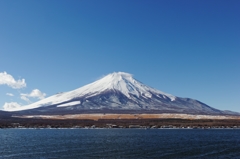白く染まり