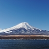 白く染まり