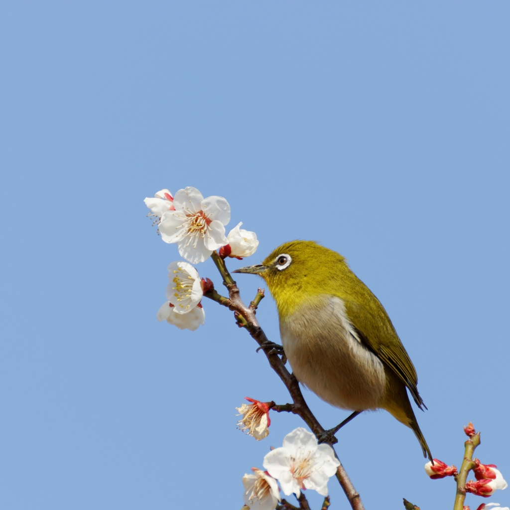 もうすぐ頂上♪