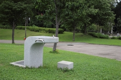 水のみ場