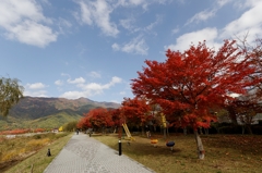 富士河口湖紅葉まつり♪ PartⅡ