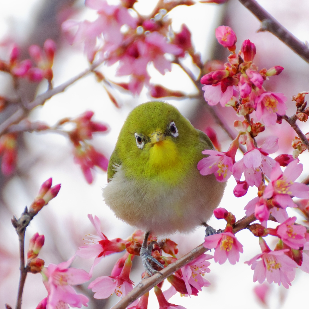 うるさいなぁ・・・