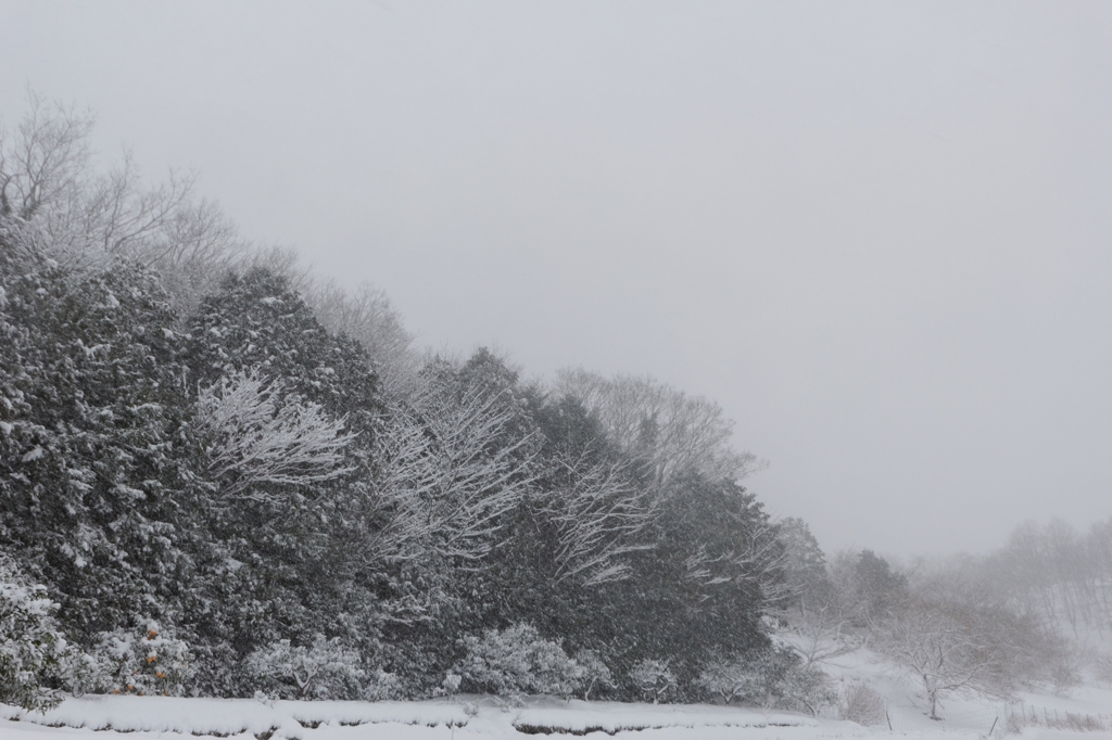 大雪・・・
