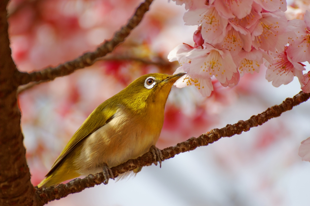 一休み♪