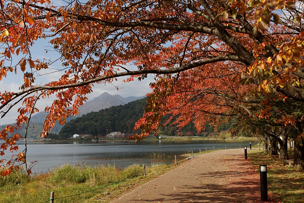 富士河口湖紅葉まつり♪ PartⅠ