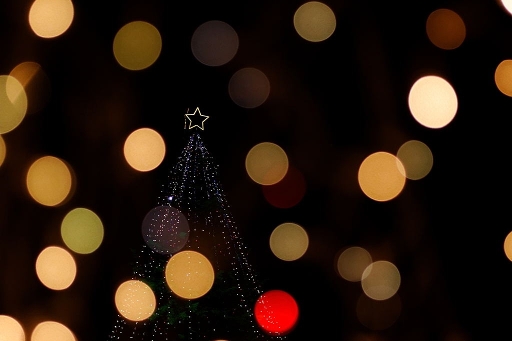 クリスマスツリー♪
