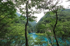 幻想的な風景
