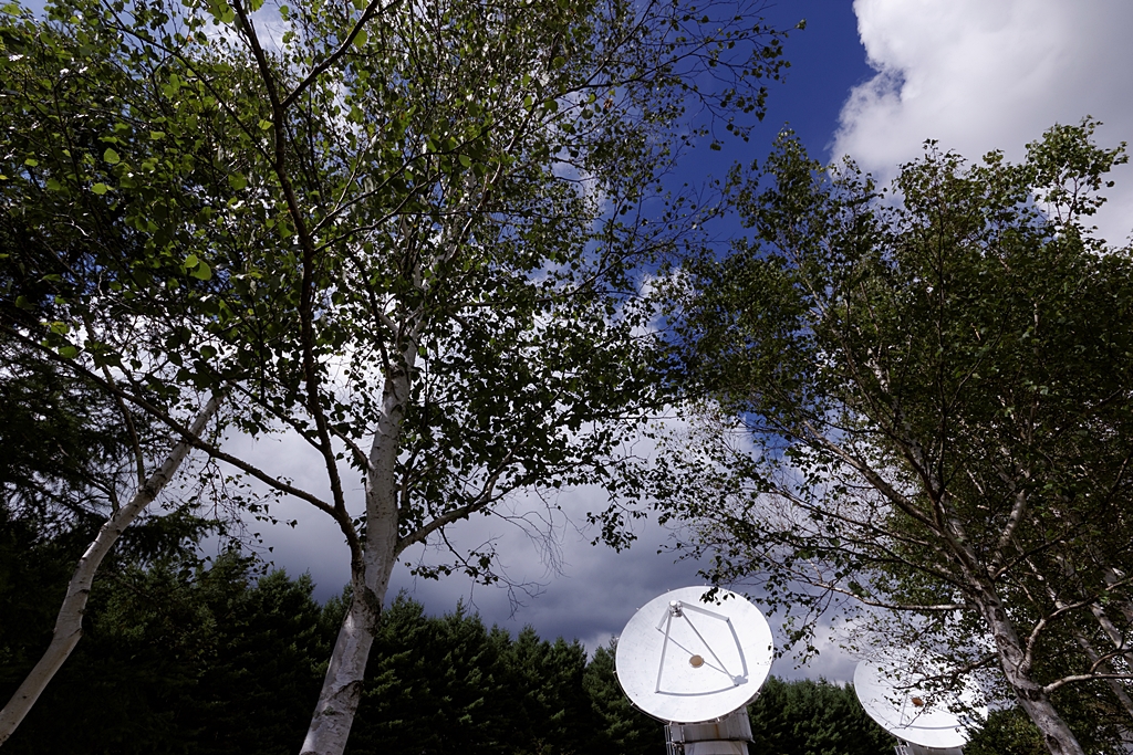 自然と調和・・・