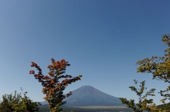 秋色に・・・