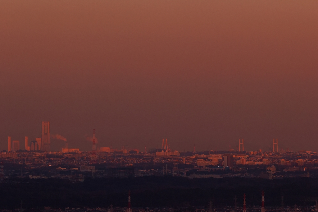 夕陽を浴びて・・・