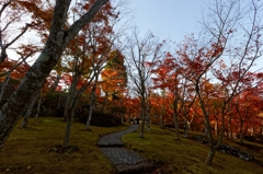 紅く染まり・・・
