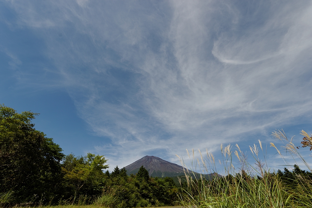 富士山とススキ・・・