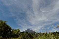 富士山とススキ・・・
