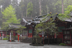 雨と神社