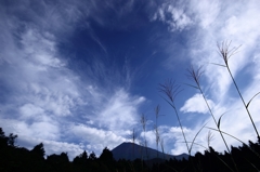富士山とススキ