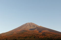 紅葉前線♪