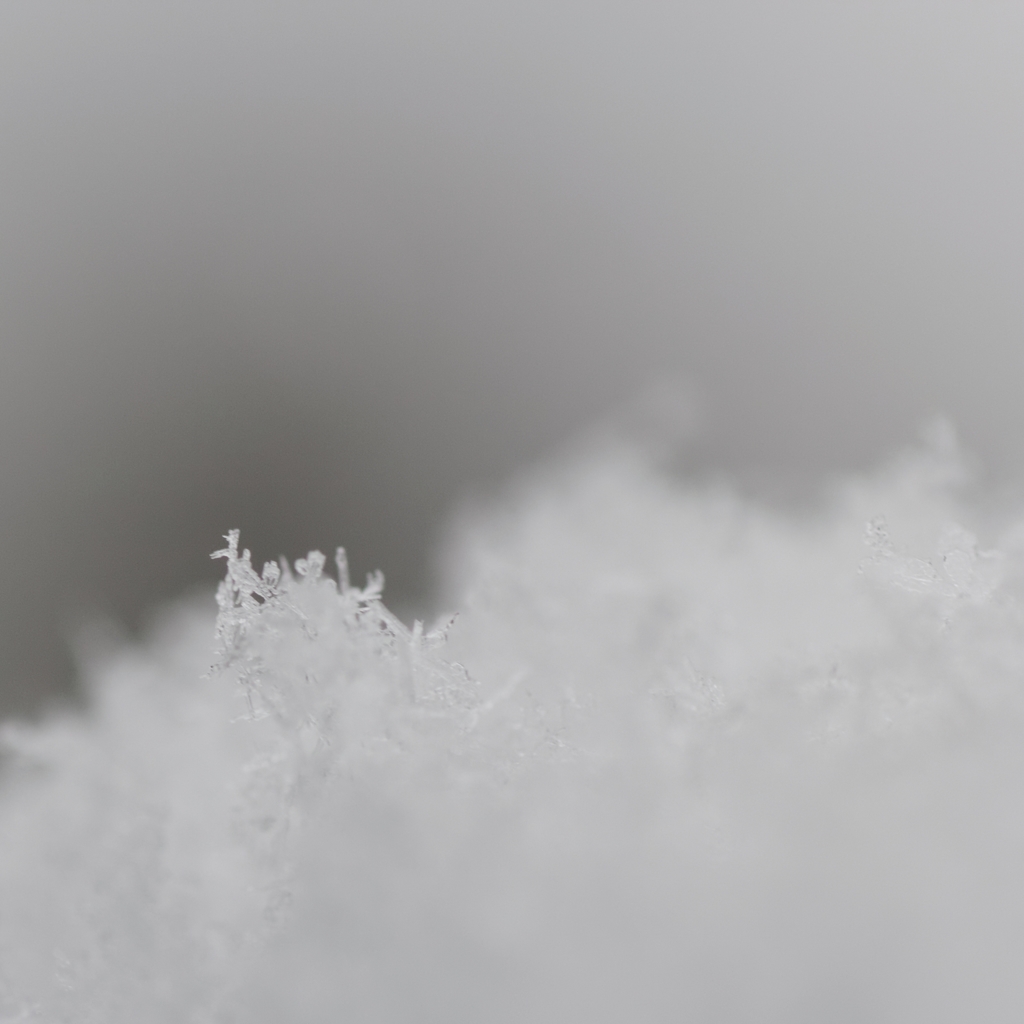 雪の結晶♪