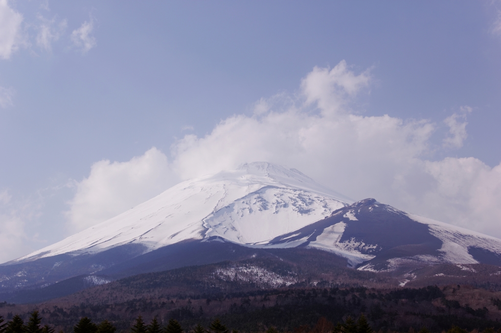 富士山＠水ヶ塚♪
