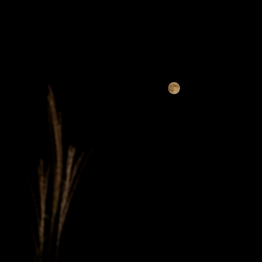 中秋の名月 PartⅠ
