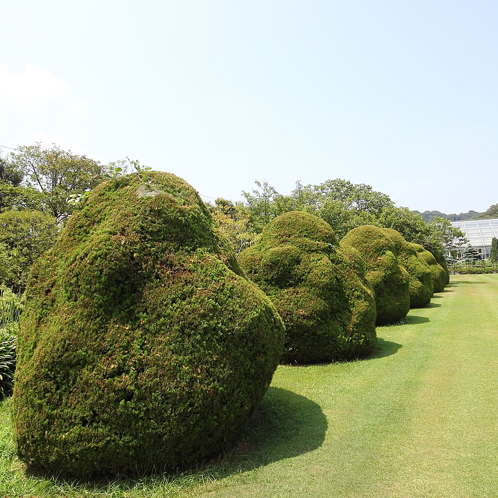 現代芸術？