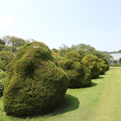 現代芸術？
