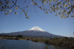 田貫湖からの富士山