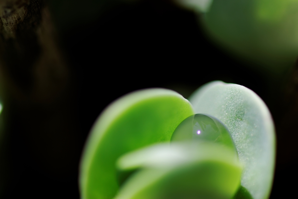 水滴♪