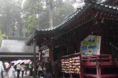 雨と神社
