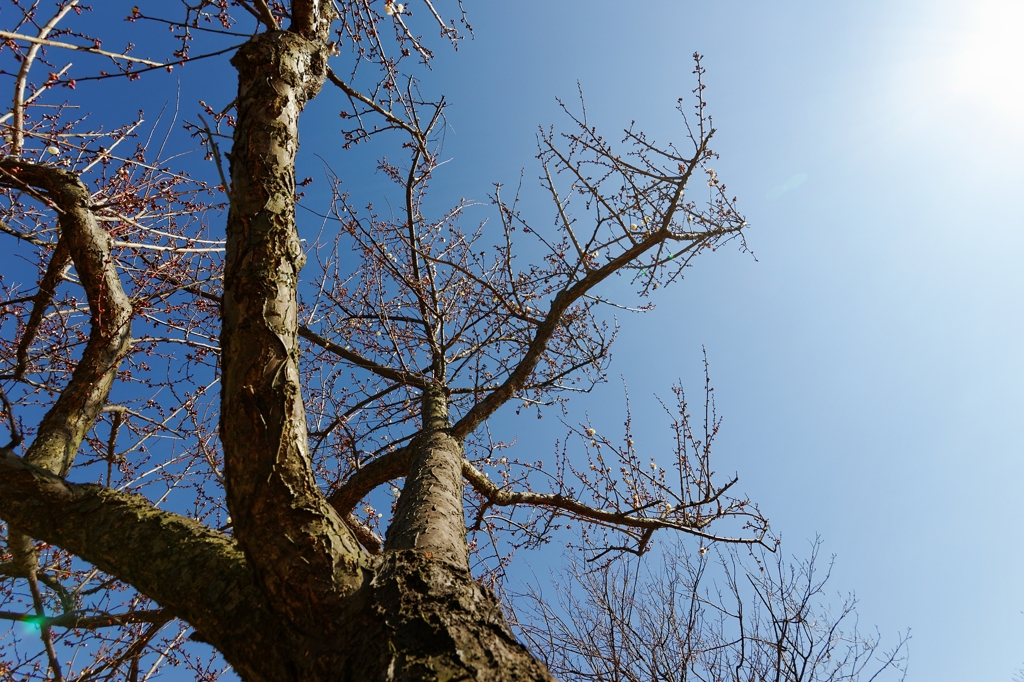 下から失礼（汗