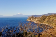 伊豆からの富士山♪