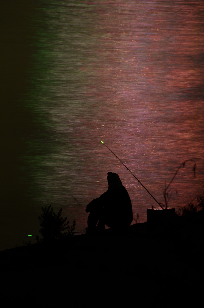 夜釣り２
