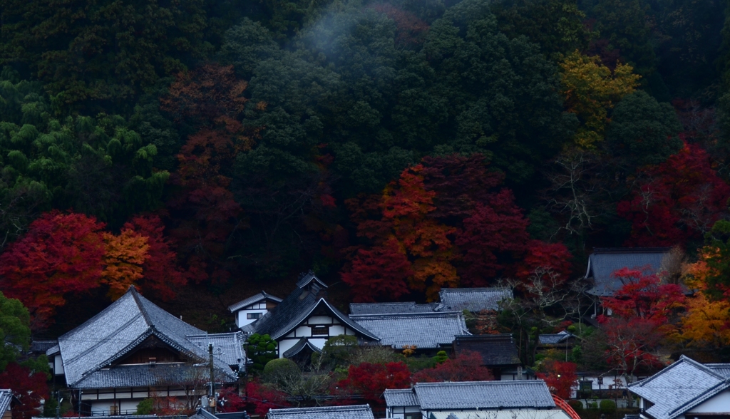 室生寺全景